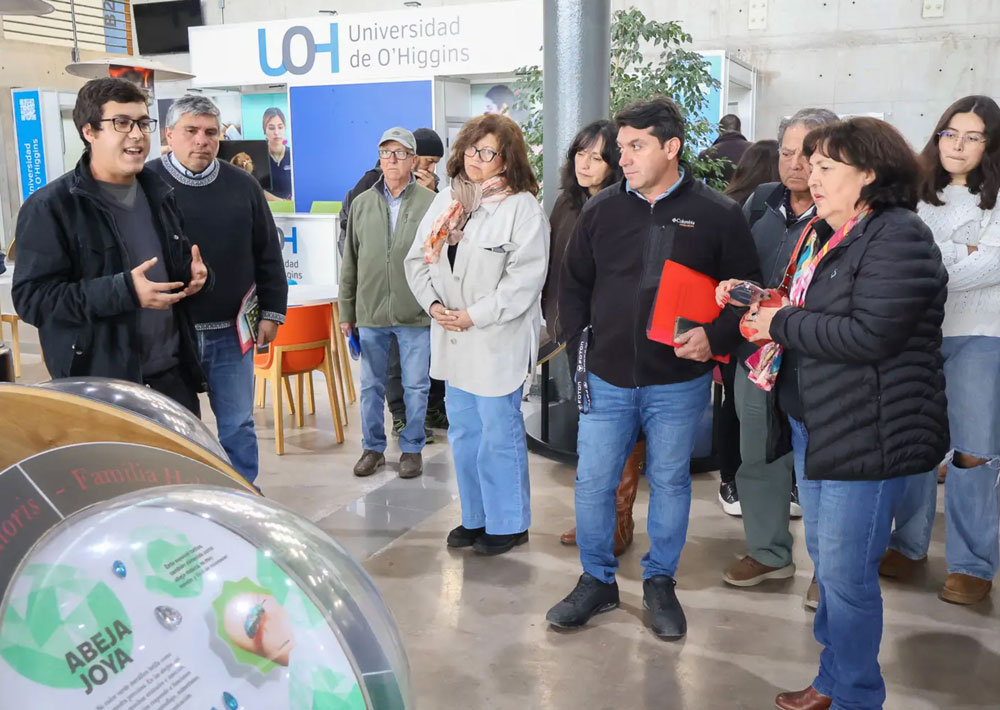 Screenshot-2025-06-16-at-6.45.09 PM